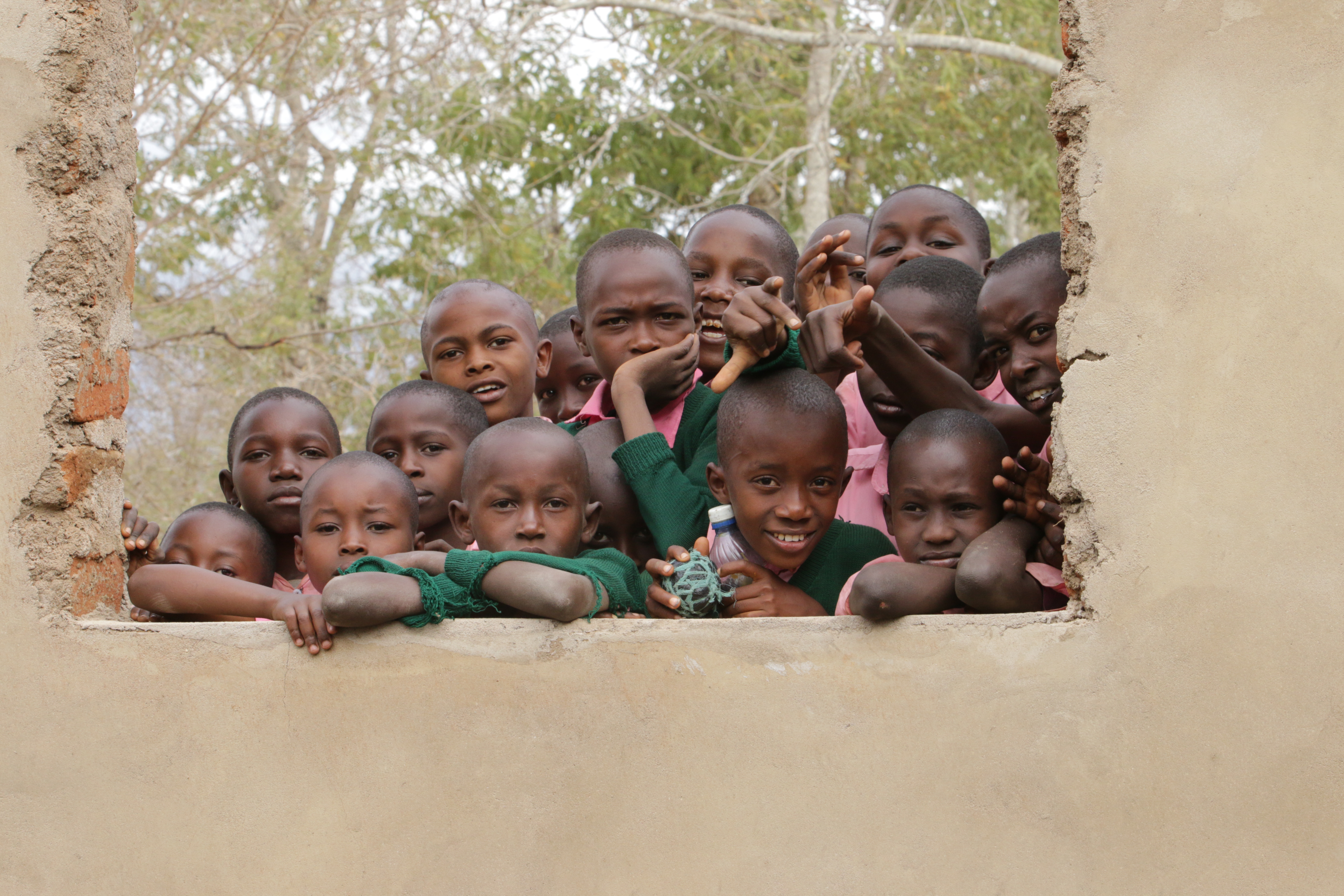 20437055586_f9538ab603_o